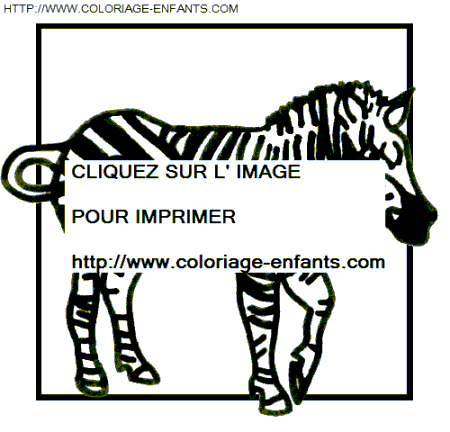 dibujo Zebras