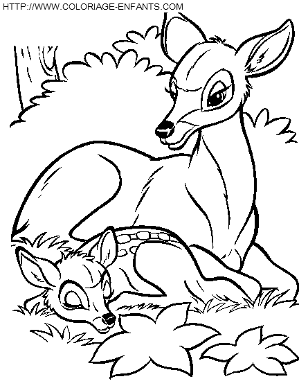 dibujo Bambi2