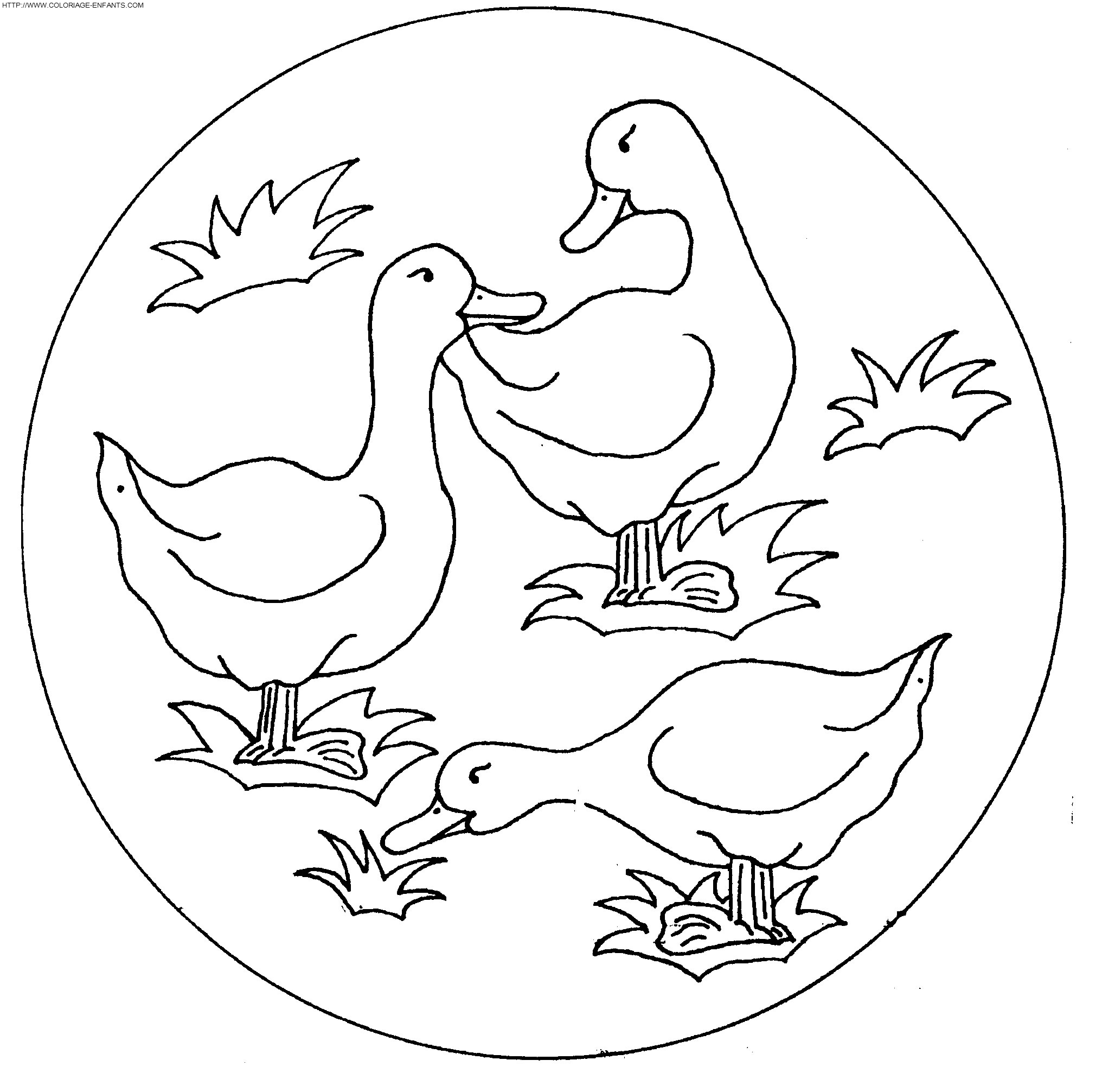 dibujo Patos