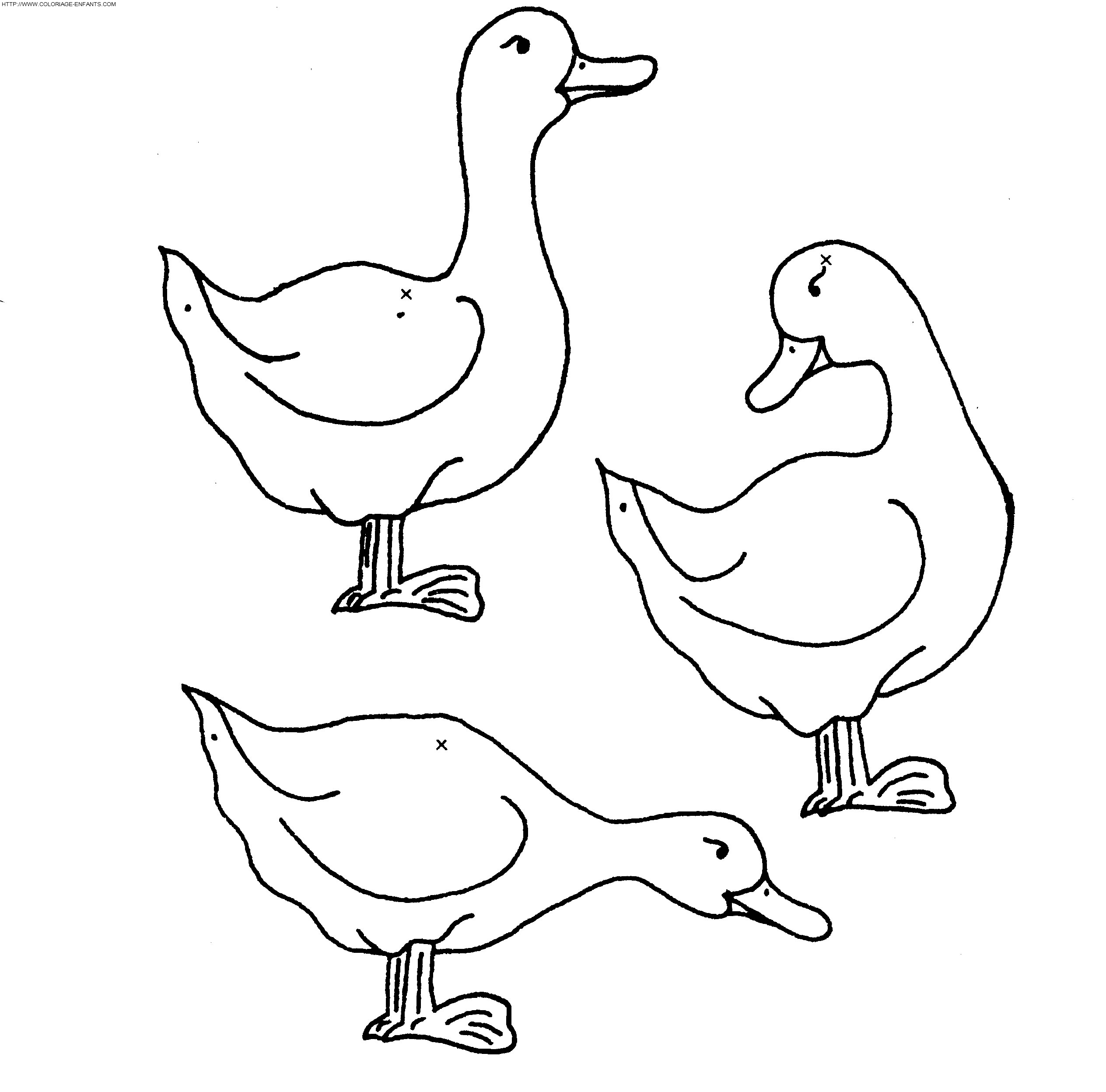 dibujo Patos