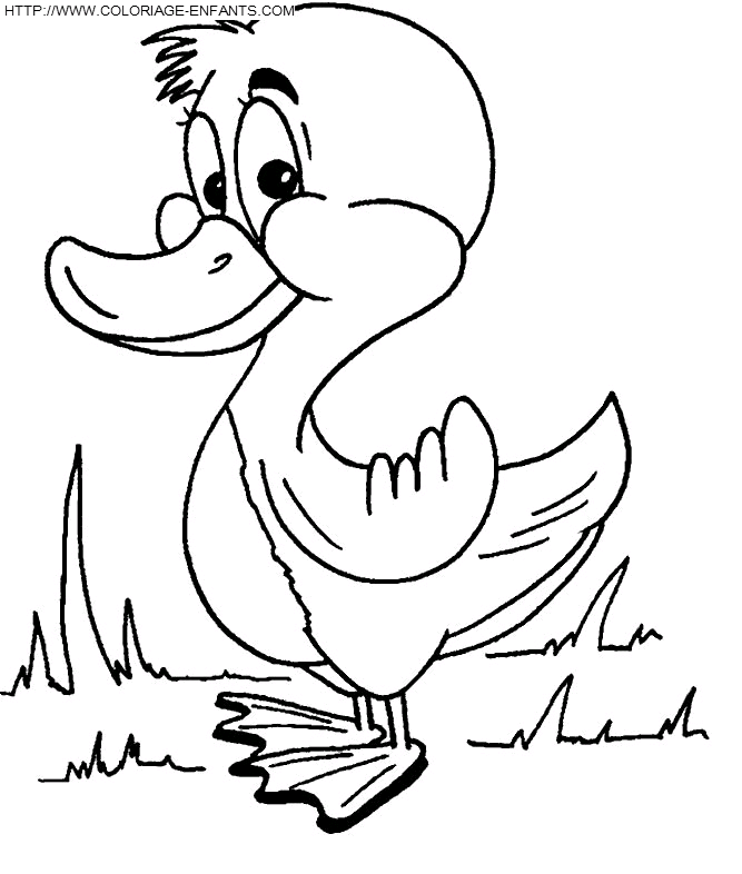 dibujo Patos