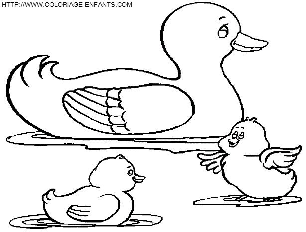 dibujo Patos