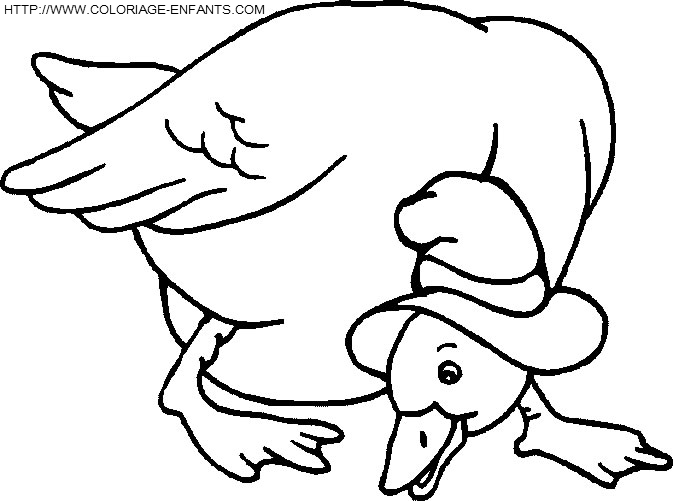 dibujo Patos