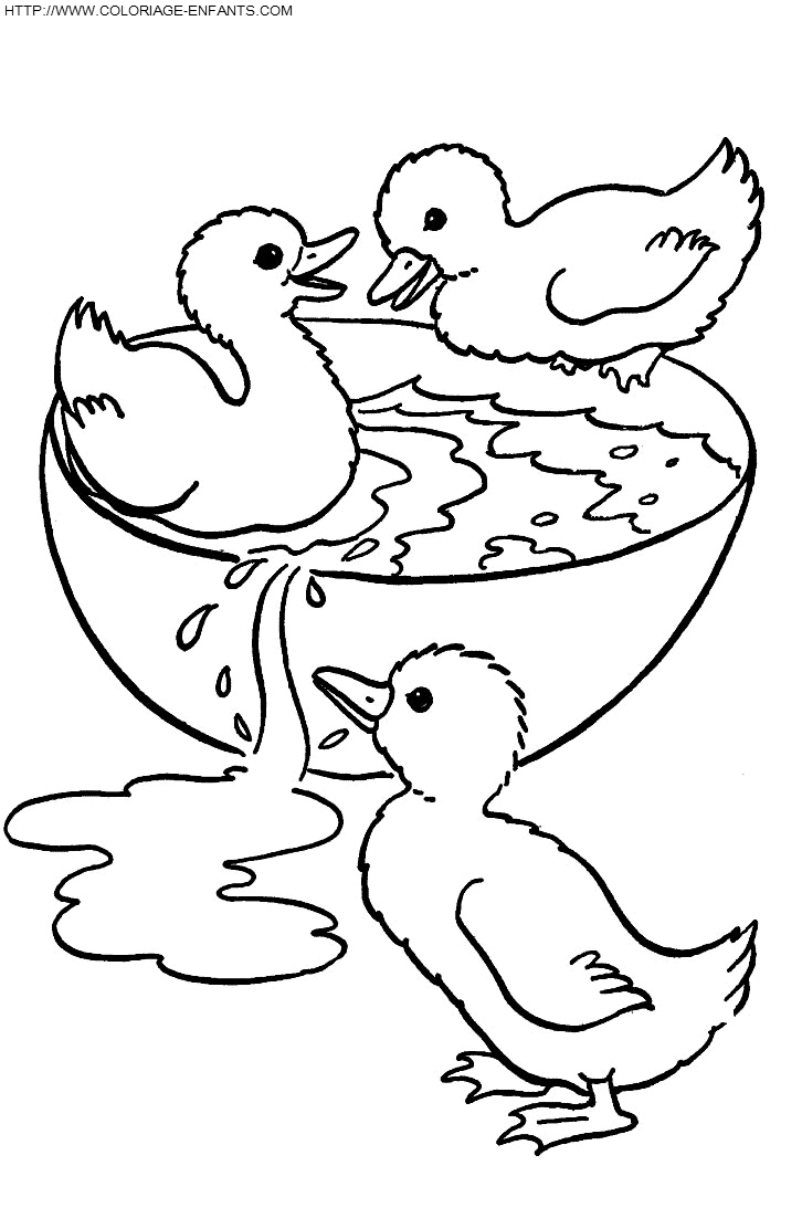 dibujo Patos