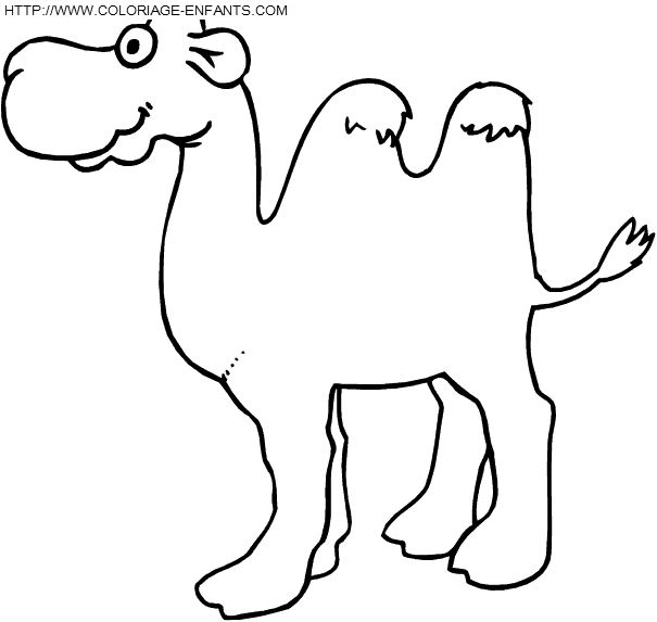 dibujo Camellos