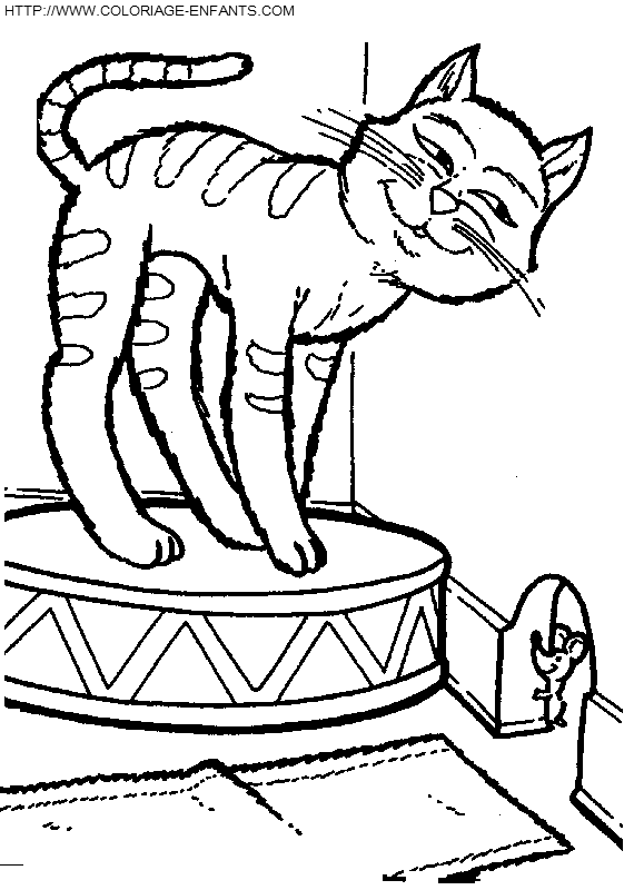 dibujo Gatos