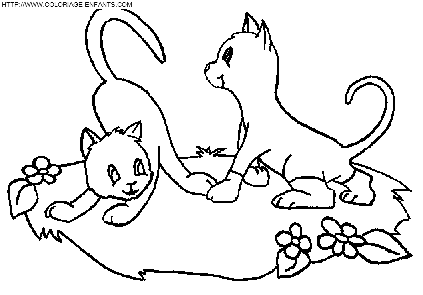 dibujo Gatos