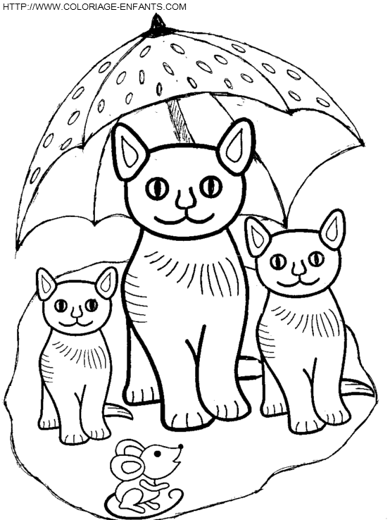 dibujo Gatos