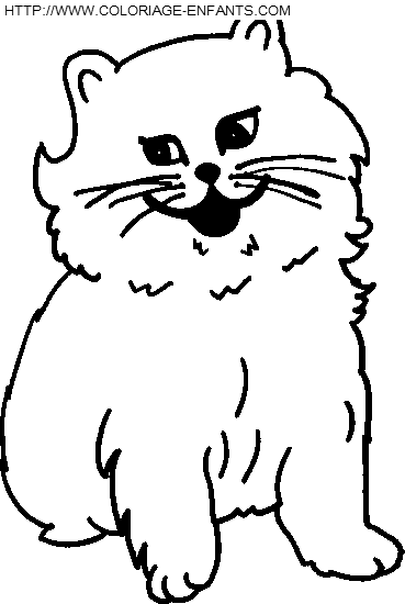 dibujo Gatos