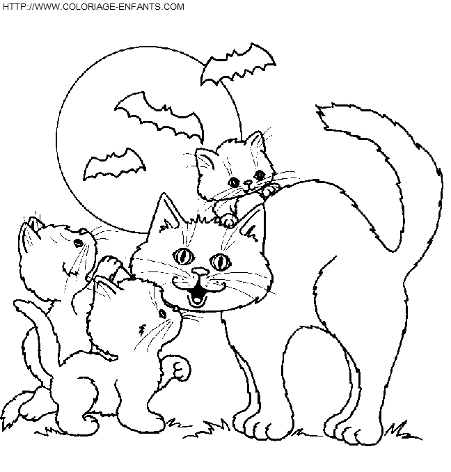 dibujo Gatos