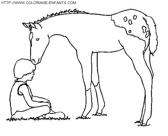 dibujo Caballo