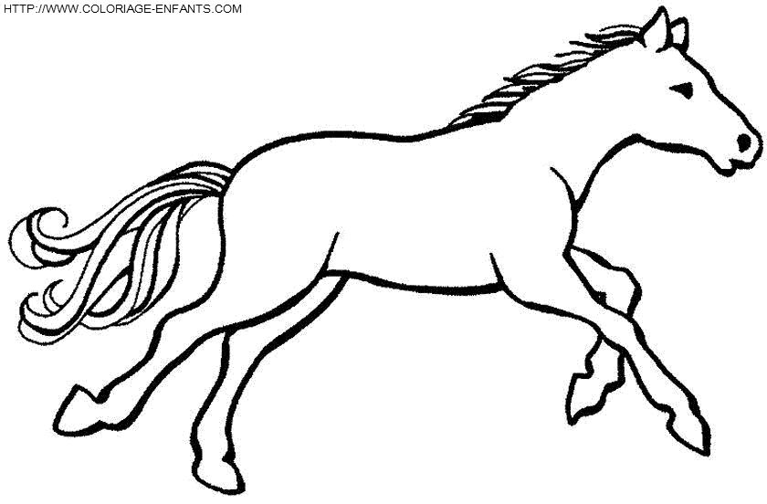 dibujo Caballo