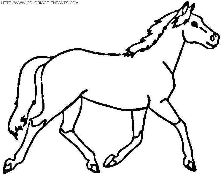 dibujo Caballo