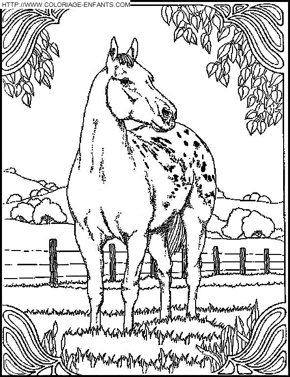 dibujo Caballo