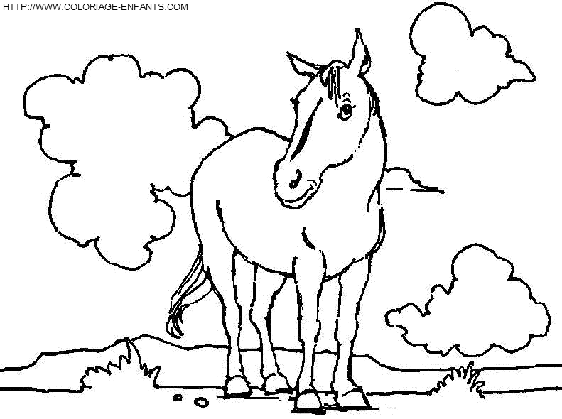 dibujo Caballo