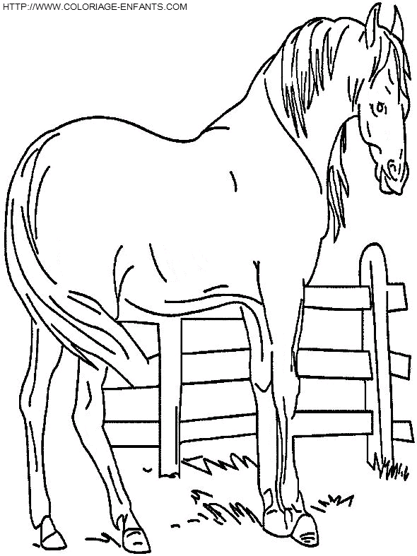 dibujo Caballo