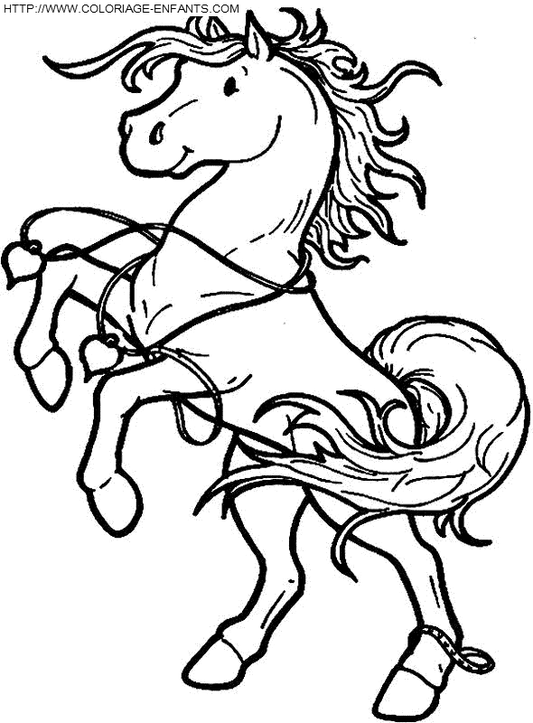 dibujo Caballo