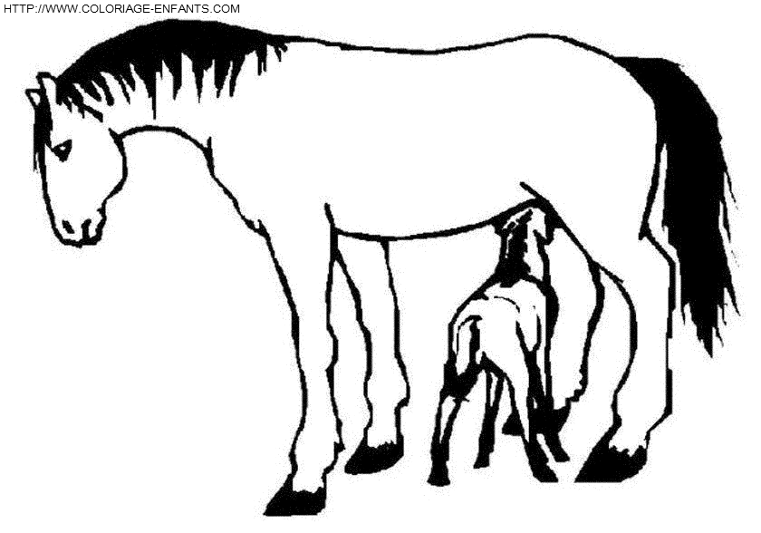 dibujo Caballo