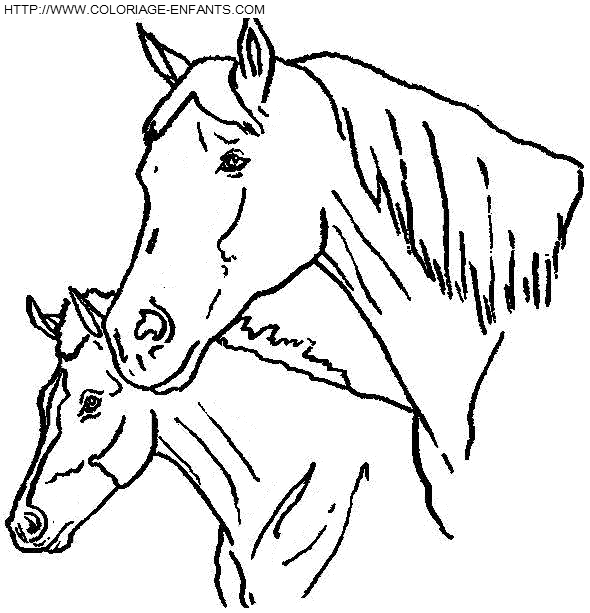 dibujo Caballo