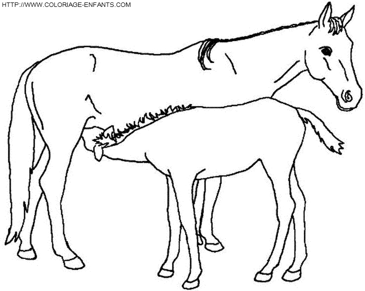 dibujo Caballo