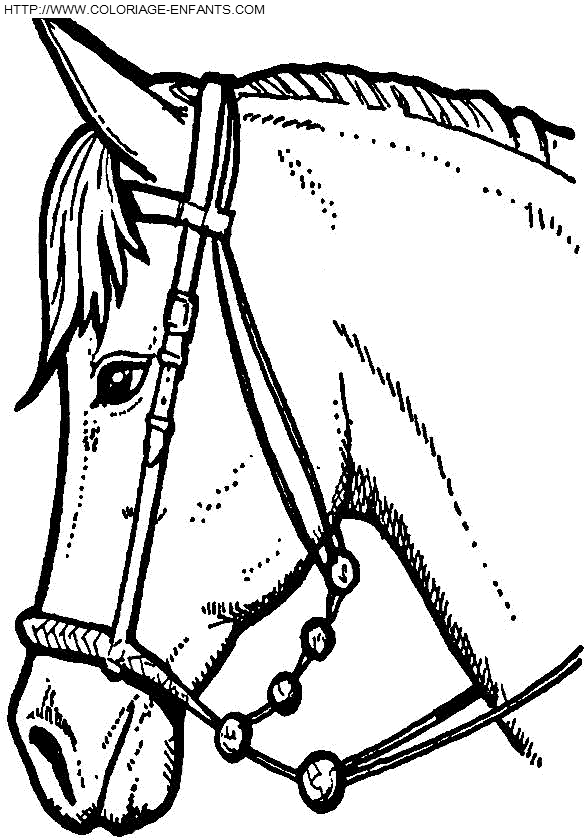 dibujo Caballo