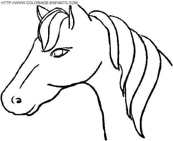 dibujo Caballo