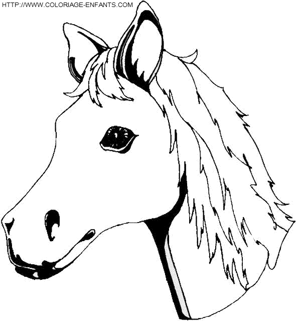 dibujo Caballo