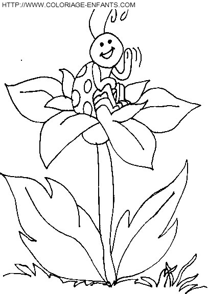 dibujo Mariquitas