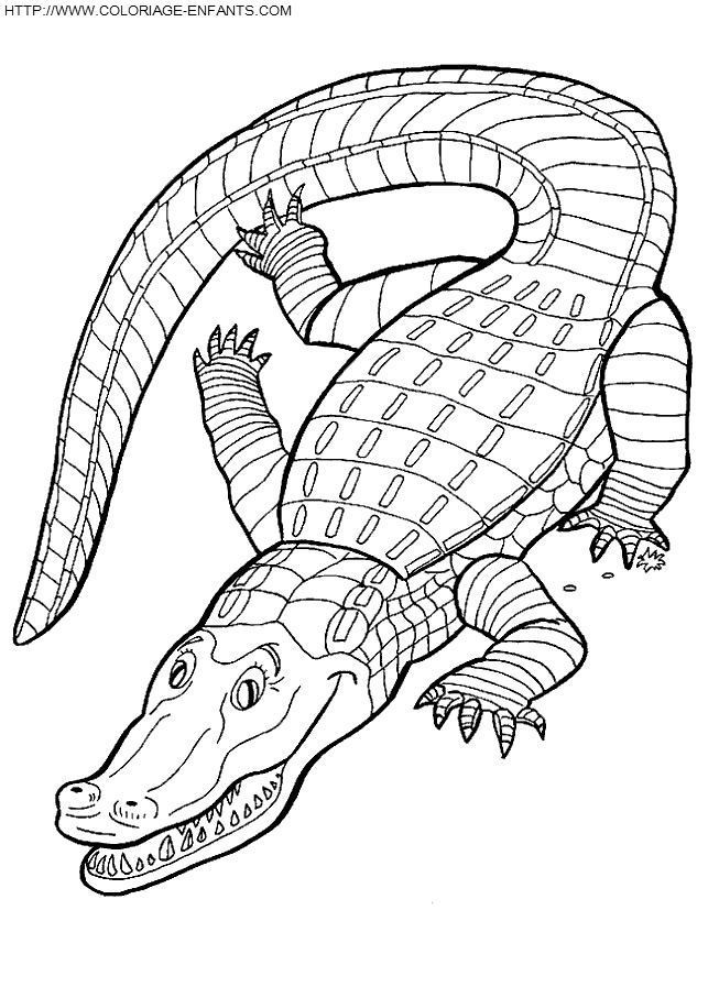 dibujo Crocodilos