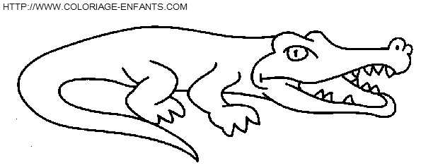 dibujo Crocodilos