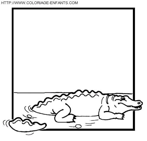 dibujo Crocodilos