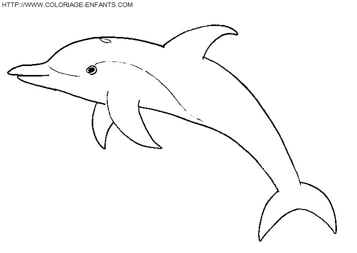 dibujo Delfines