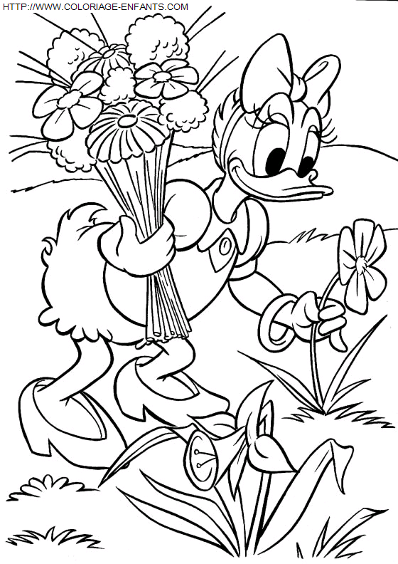 dibujo Pato Donald