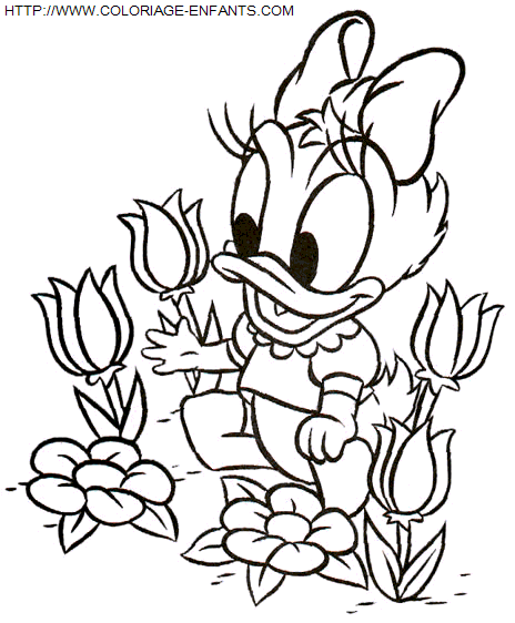 dibujo Pato Donald