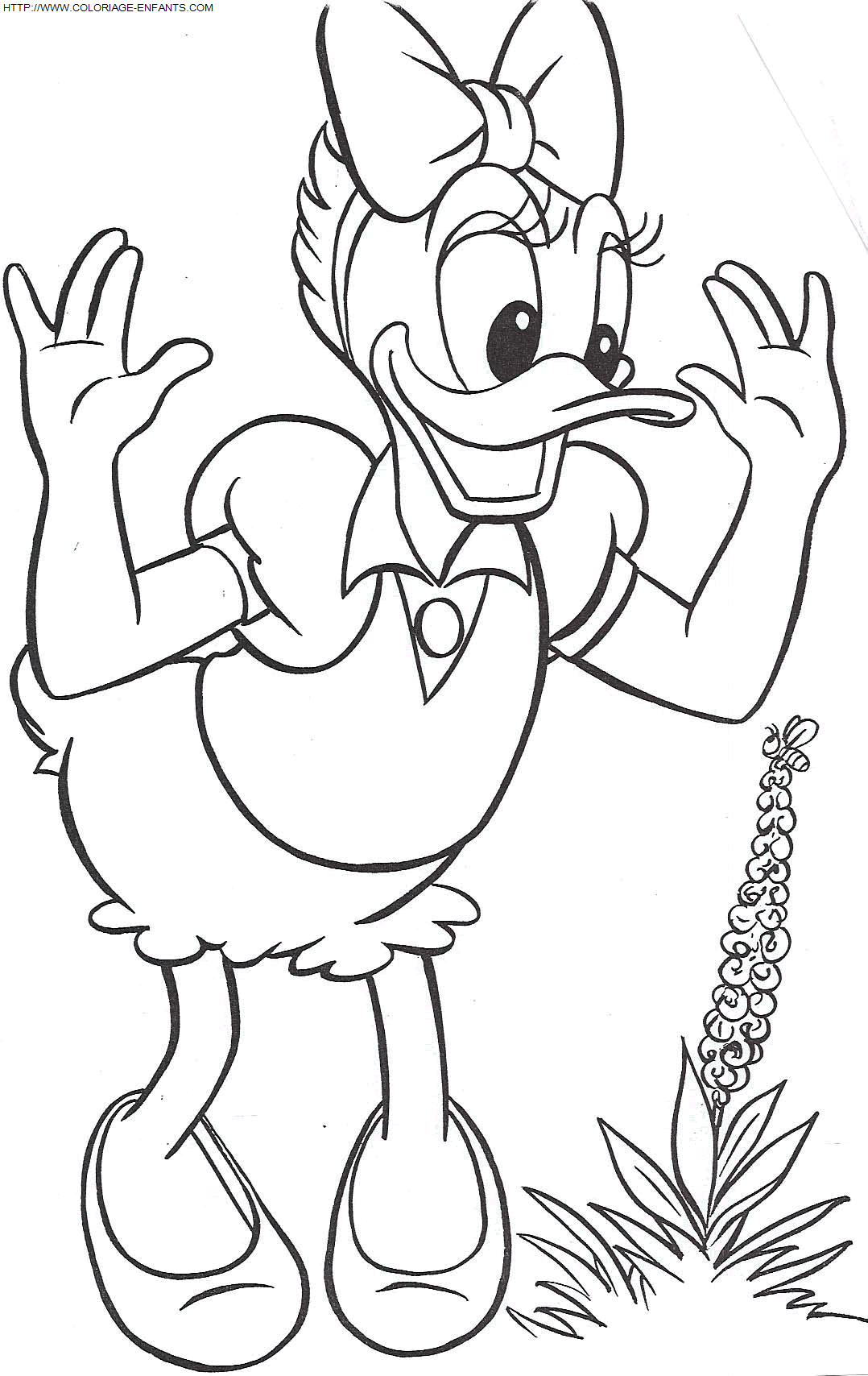 dibujo Pato Donald