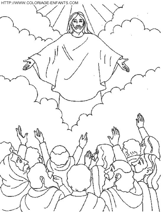 dibujo Biblia Evangelios