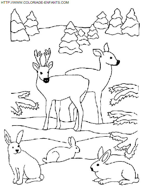 dibujo Navidad Animales