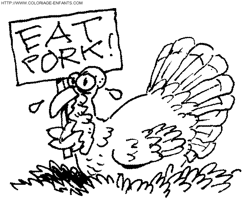 dibujo Thanksgiving