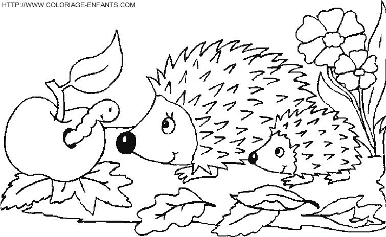 dibujo Erizos