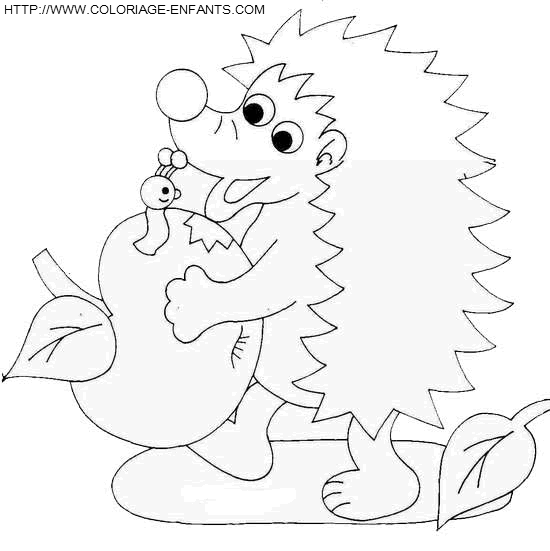 dibujo Erizos