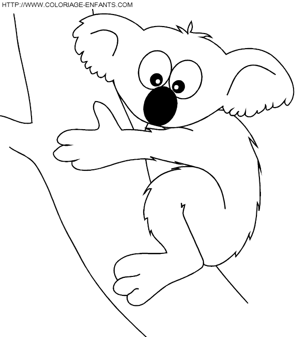 dibujo Koalas