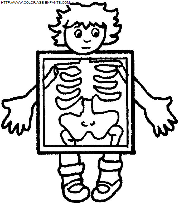 dibujo Cuerpo humano