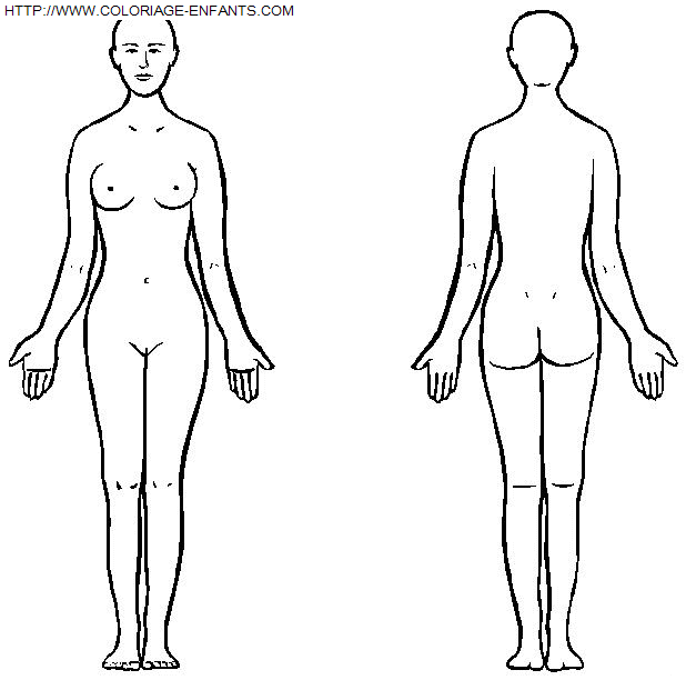 dibujo Cuerpo humano