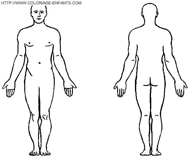 dibujo Cuerpo humano