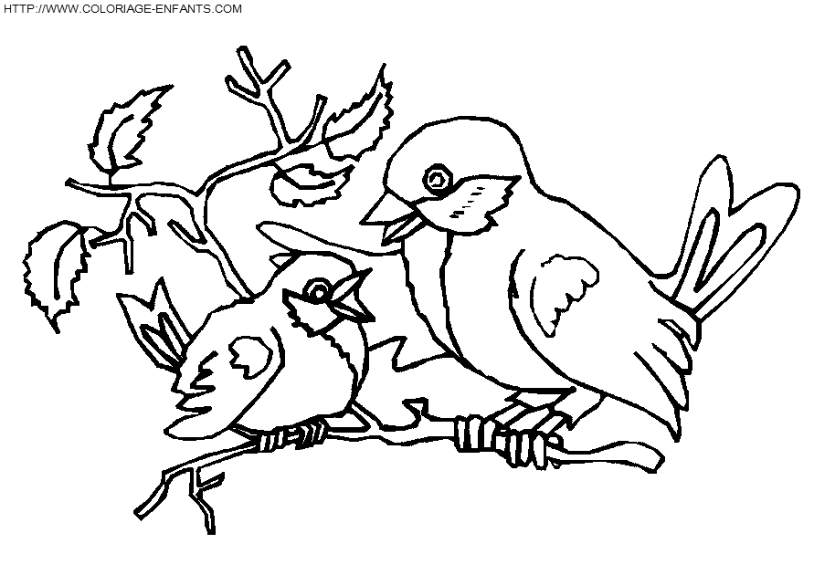 dibujo Pajaros