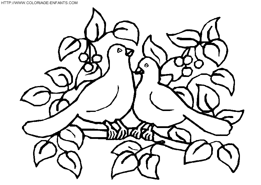 dibujo Pajaros