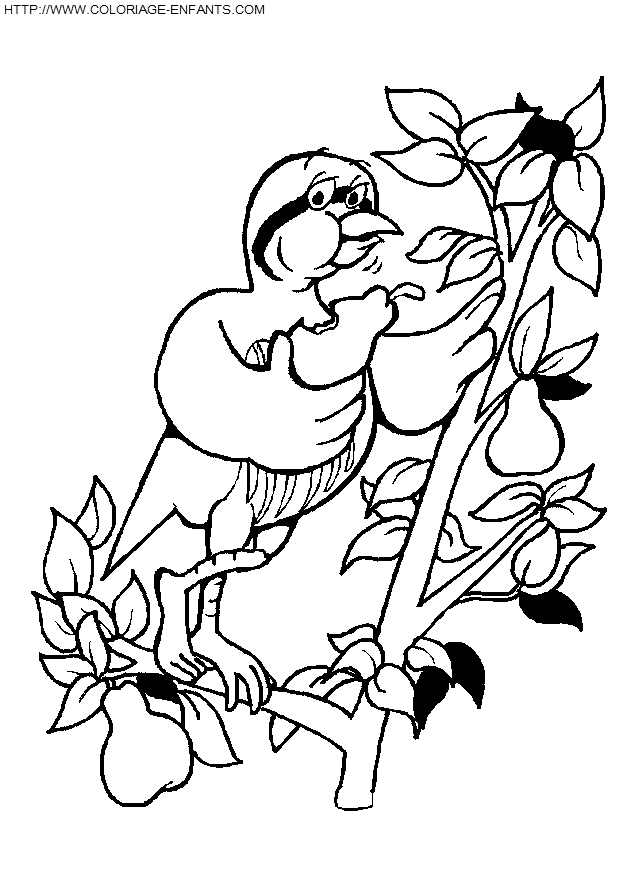 dibujo Pajaros