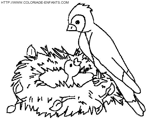 dibujo Pajaros