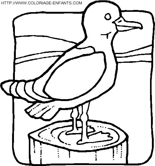 dibujo Pajaros