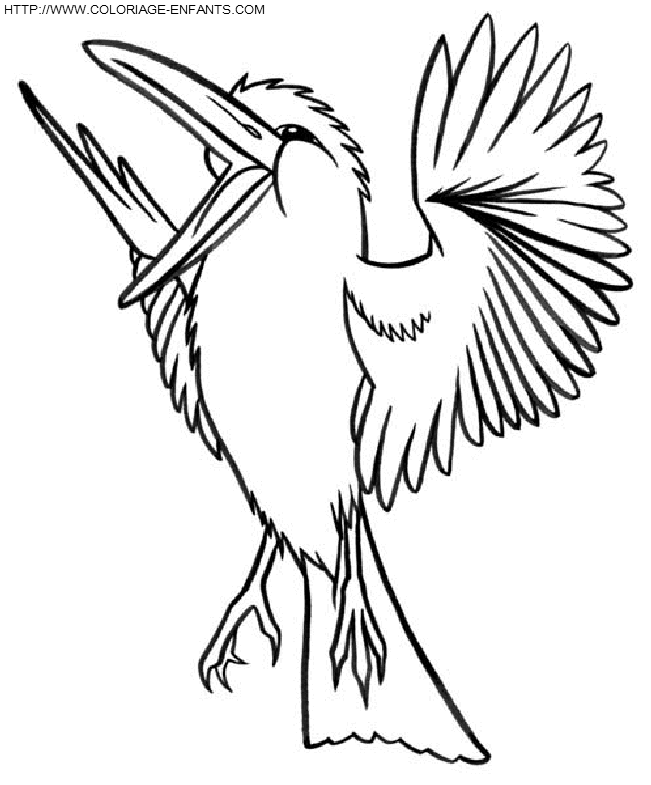 dibujo Pajaros